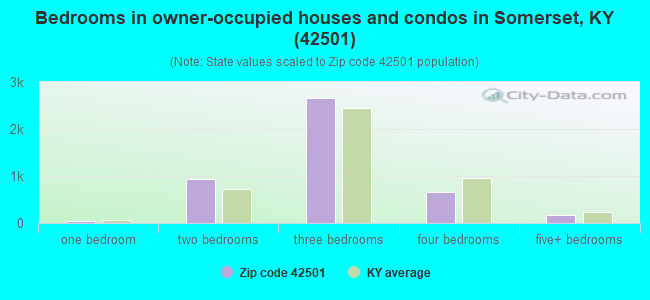 Bedrooms in owner-occupied houses and condos in Somerset, KY (42501) 