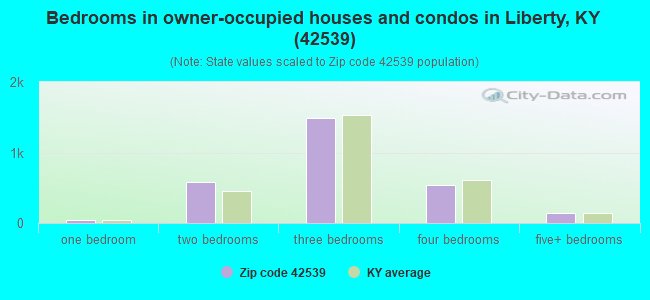 Bedrooms in owner-occupied houses and condos in Liberty, KY (42539) 