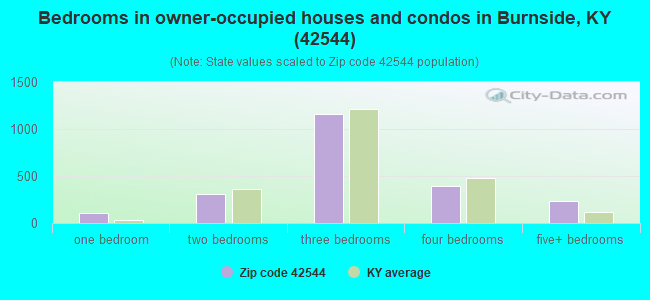 Bedrooms in owner-occupied houses and condos in Burnside, KY (42544) 