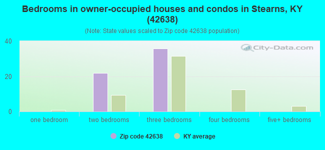 Bedrooms in owner-occupied houses and condos in Stearns, KY (42638) 