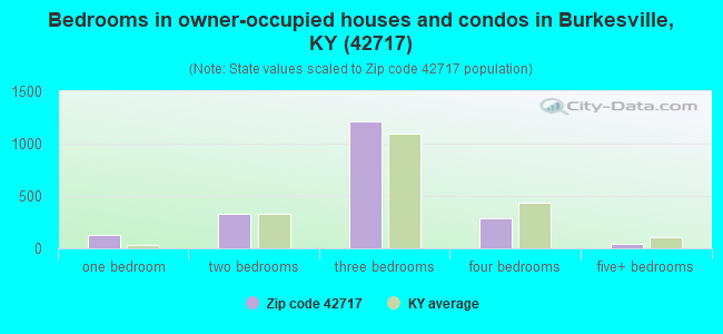 Bedrooms in owner-occupied houses and condos in Burkesville, KY (42717) 