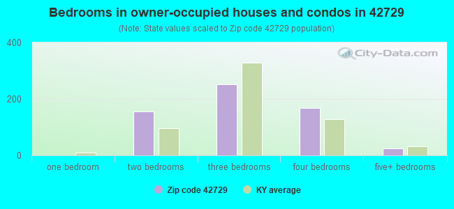 Bedrooms in owner-occupied houses and condos in 42729 