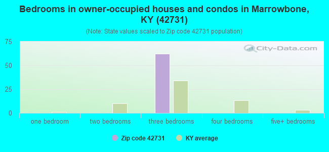 Bedrooms in owner-occupied houses and condos in Marrowbone, KY (42731) 
