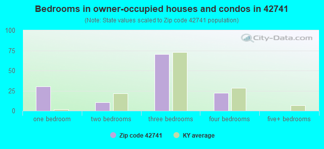 Bedrooms in owner-occupied houses and condos in 42741 