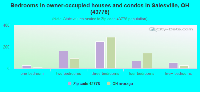 Bedrooms in owner-occupied houses and condos in Salesville, OH (43778) 