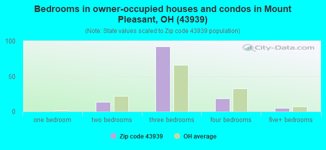 Bedrooms in owner-occupied houses and condos in Mount Pleasant, OH (43939) 