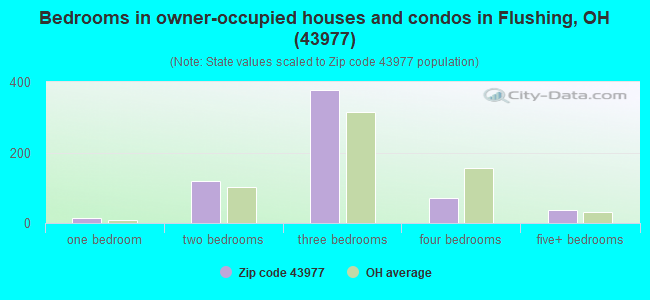 Bedrooms in owner-occupied houses and condos in Flushing, OH (43977) 