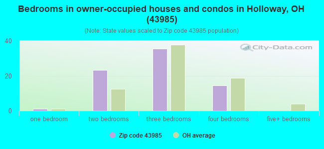 Bedrooms in owner-occupied houses and condos in Holloway, OH (43985) 