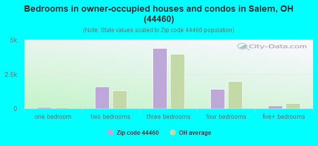 Bedrooms in owner-occupied houses and condos in Salem, OH (44460) 