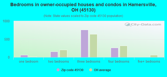Bedrooms in owner-occupied houses and condos in Hamersville, OH (45130) 