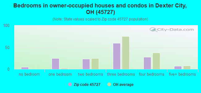 Bedrooms in owner-occupied houses and condos in Dexter City, OH (45727) 