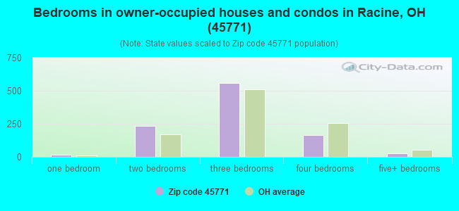 Bedrooms in owner-occupied houses and condos in Racine, OH (45771) 