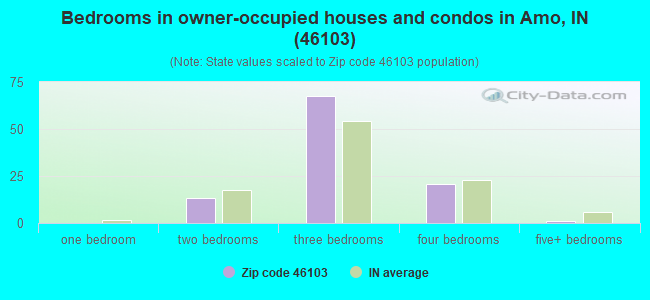 Bedrooms in owner-occupied houses and condos in Amo, IN (46103) 