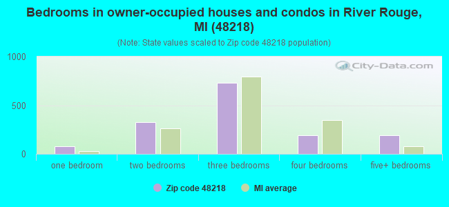 Bedrooms in owner-occupied houses and condos in River Rouge, MI (48218) 