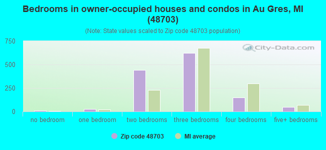 Bedrooms in owner-occupied houses and condos in Au Gres, MI (48703) 