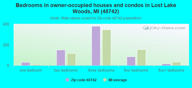 Bedrooms in owner-occupied houses and condos in Lost Lake Woods, MI (48742) 
