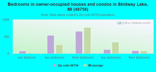 Bedrooms in owner-occupied houses and condos in Skidway Lake, MI (48756) 