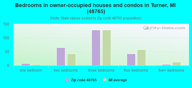 Bedrooms in owner-occupied houses and condos in Turner, MI (48765) 