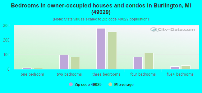 Bedrooms in owner-occupied houses and condos in Burlington, MI (49029) 