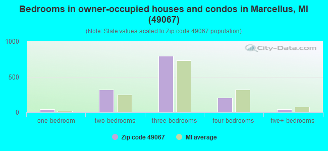 Bedrooms in owner-occupied houses and condos in Marcellus, MI (49067) 