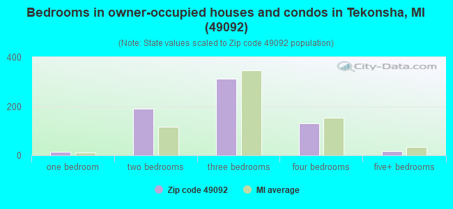 Bedrooms in owner-occupied houses and condos in Tekonsha, MI (49092) 