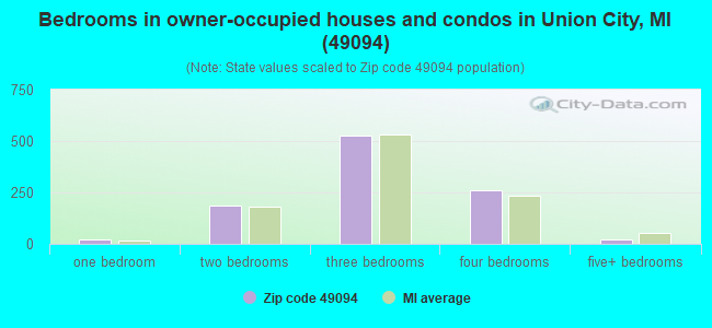 Bedrooms in owner-occupied houses and condos in Union City, MI (49094) 