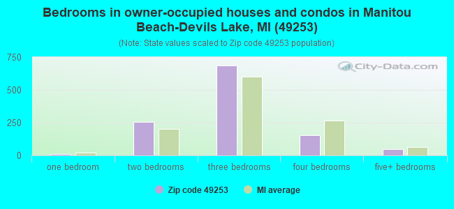 Bedrooms in owner-occupied houses and condos in Manitou Beach-Devils Lake, MI (49253) 