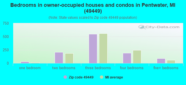 Bedrooms in owner-occupied houses and condos in Pentwater, MI (49449) 