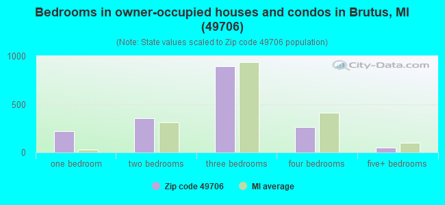 Bedrooms in owner-occupied houses and condos in Brutus, MI (49706) 