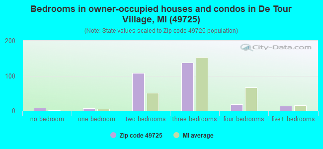 Bedrooms in owner-occupied houses and condos in De Tour Village, MI (49725) 
