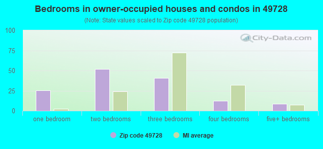 Bedrooms in owner-occupied houses and condos in 49728 