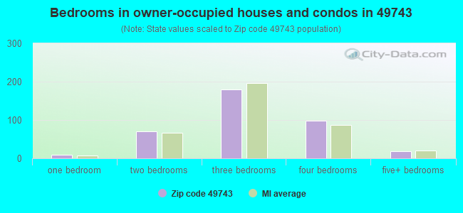 Bedrooms in owner-occupied houses and condos in 49743 