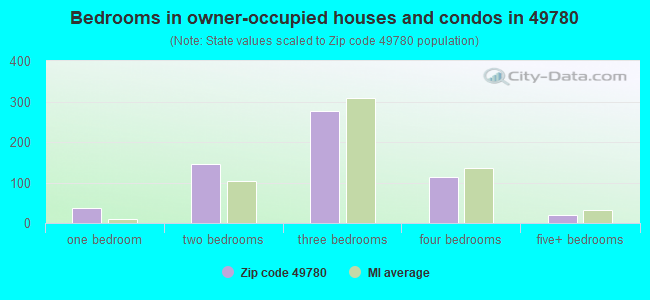 Bedrooms in owner-occupied houses and condos in 49780 