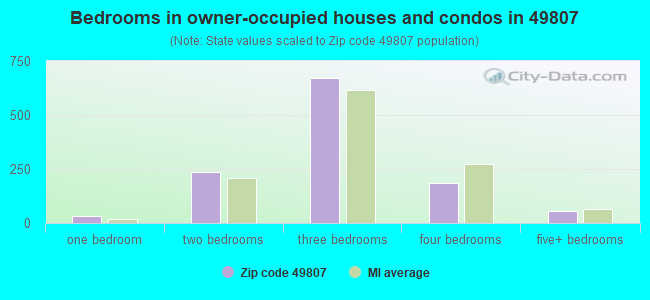 Bedrooms in owner-occupied houses and condos in 49807 