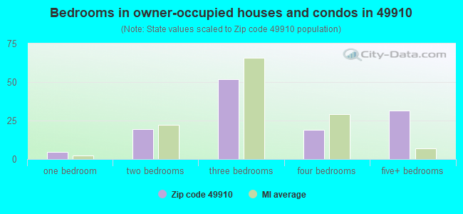 Bedrooms in owner-occupied houses and condos in 49910 