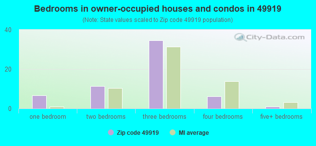 Bedrooms in owner-occupied houses and condos in 49919 