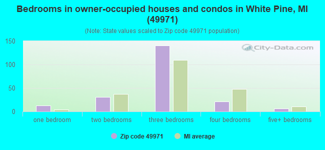 Bedrooms in owner-occupied houses and condos in White Pine, MI (49971) 