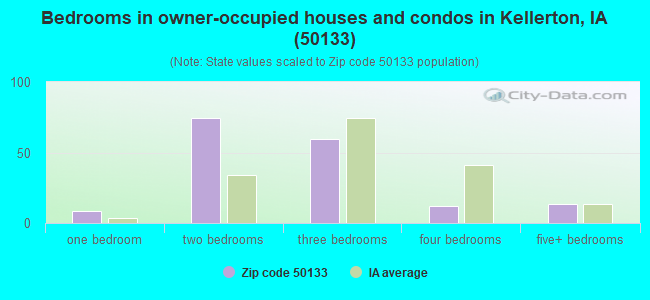 Bedrooms in owner-occupied houses and condos in Kellerton, IA (50133) 