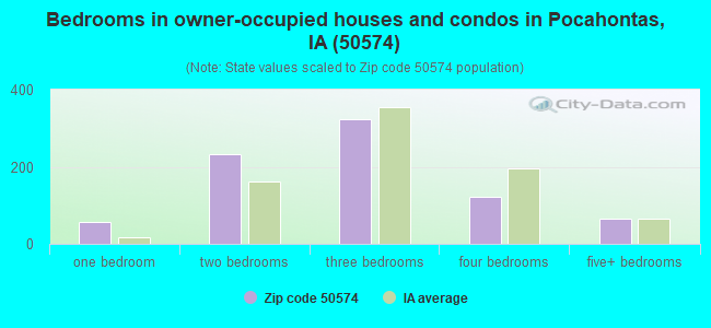 Bedrooms in owner-occupied houses and condos in Pocahontas, IA (50574) 