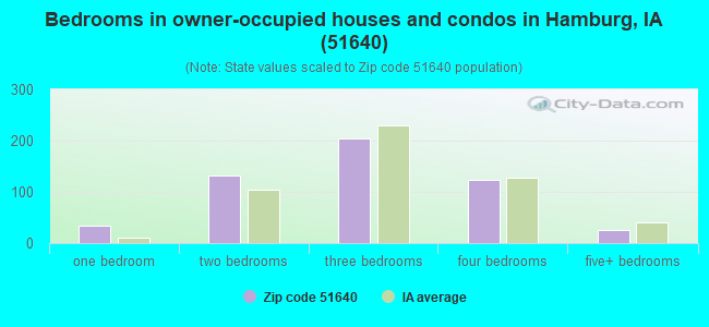 Bedrooms in owner-occupied houses and condos in Hamburg, IA (51640) 