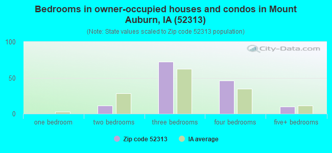 Bedrooms in owner-occupied houses and condos in Mount Auburn, IA (52313) 