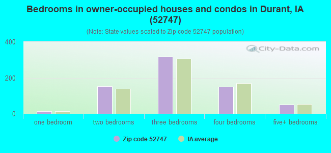 Bedrooms in owner-occupied houses and condos in Durant, IA (52747) 