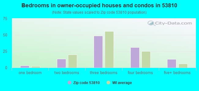 Bedrooms in owner-occupied houses and condos in 53810 