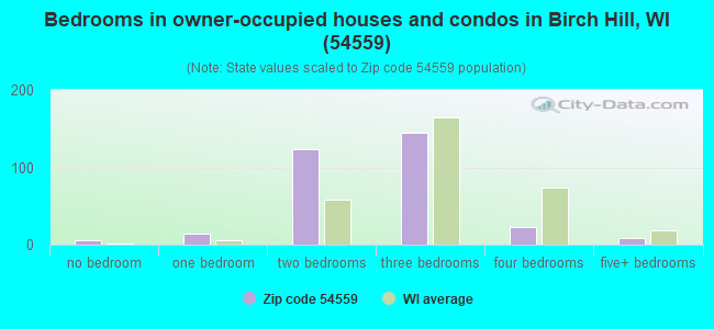 Bedrooms in owner-occupied houses and condos in Birch Hill, WI (54559) 