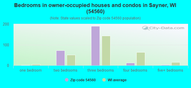 Bedrooms in owner-occupied houses and condos in Sayner, WI (54560) 