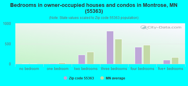 Bedrooms in owner-occupied houses and condos in Montrose, MN (55363) 
