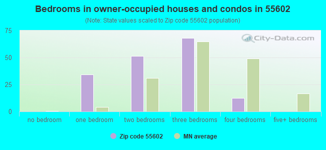 Bedrooms in owner-occupied houses and condos in 55602 