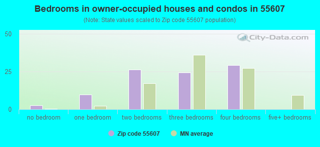 Bedrooms in owner-occupied houses and condos in 55607 