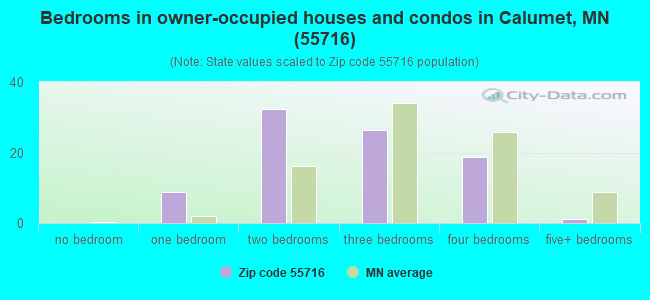 Bedrooms in owner-occupied houses and condos in Calumet, MN (55716) 