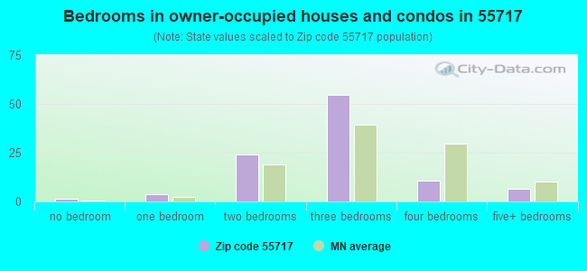 Bedrooms in owner-occupied houses and condos in 55717 